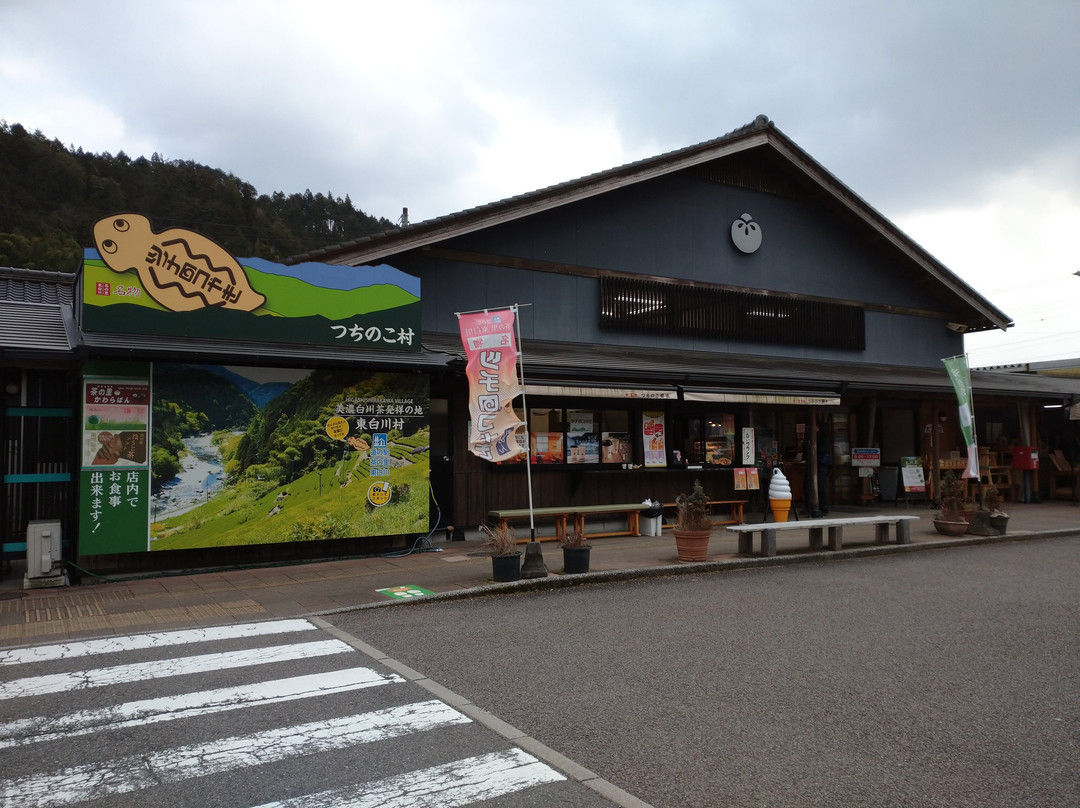 Michi-no-Eki - Home of the Tea Higashi Shirakawa-东白川村必去景点