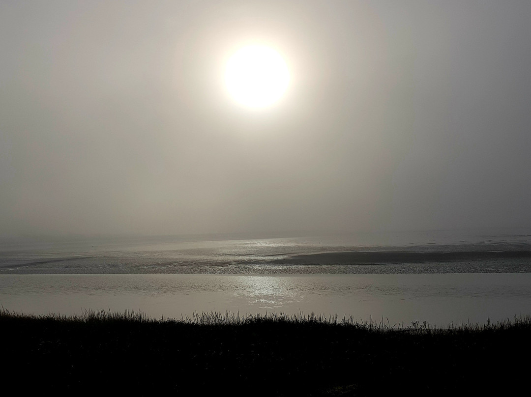 Wyre Estuary Country Park景点图片