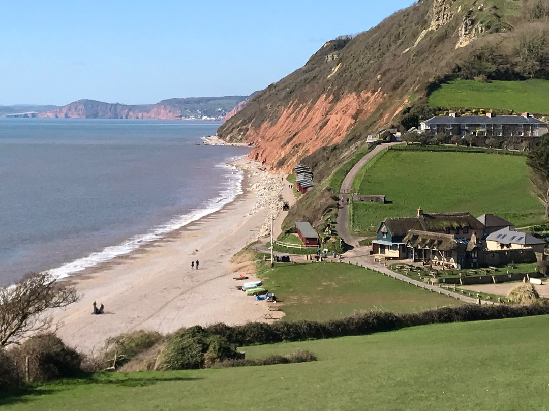 The Masons Arms主图