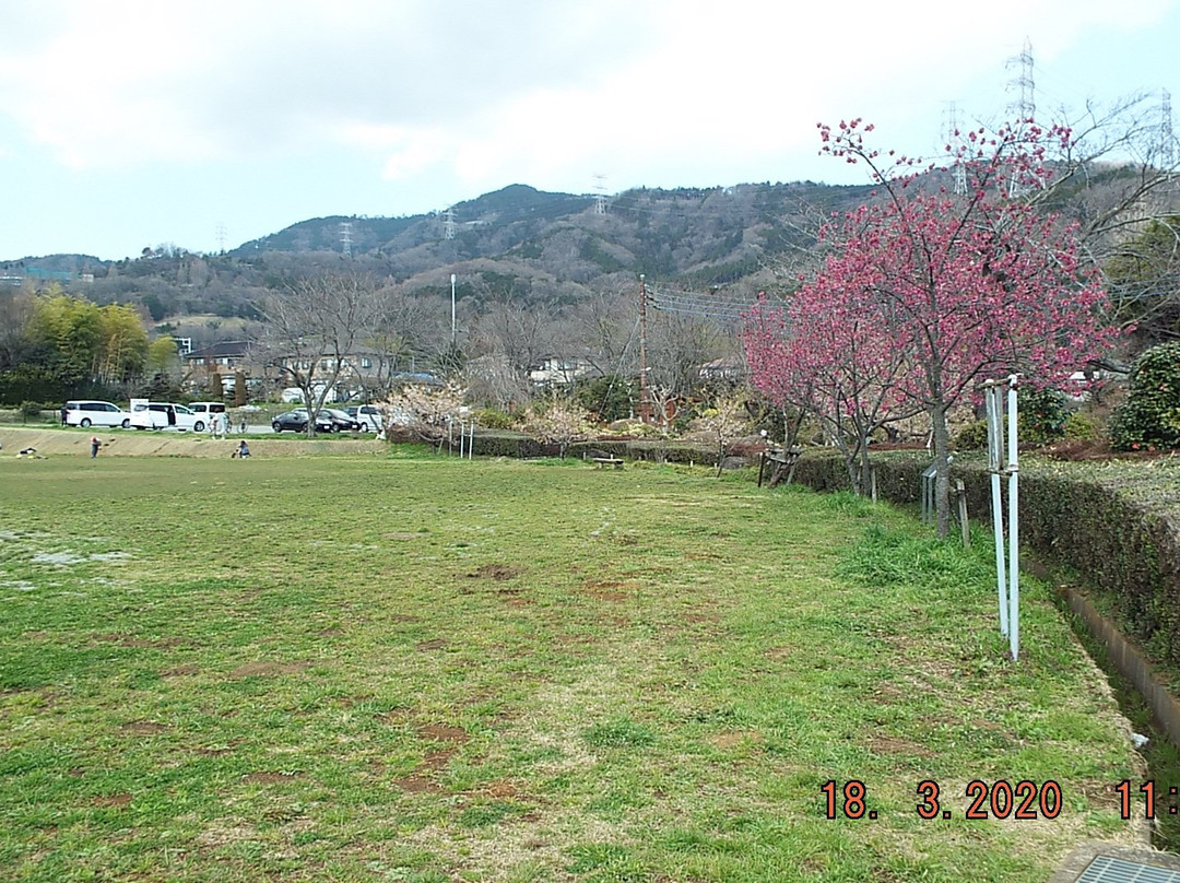 Tawara Furusato Park-秦野市必去景点