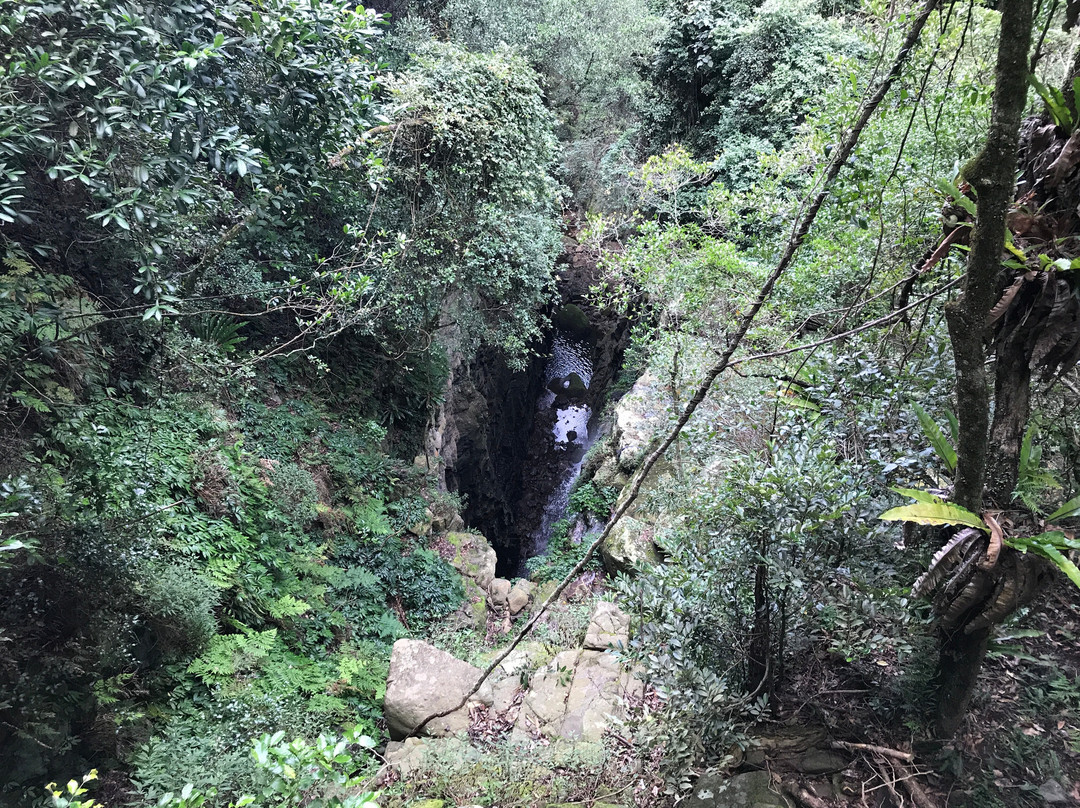 Minnamurra Falls景点图片