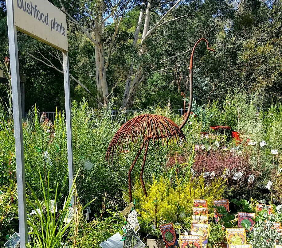 Kuranga Native Nursery-Mount Evelyn必去景点