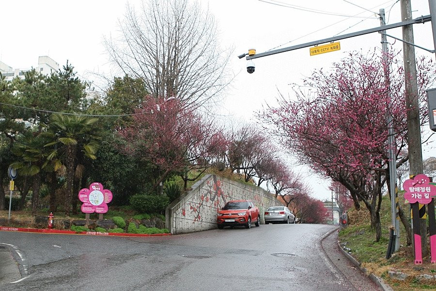 Maegokdong Tammae Village