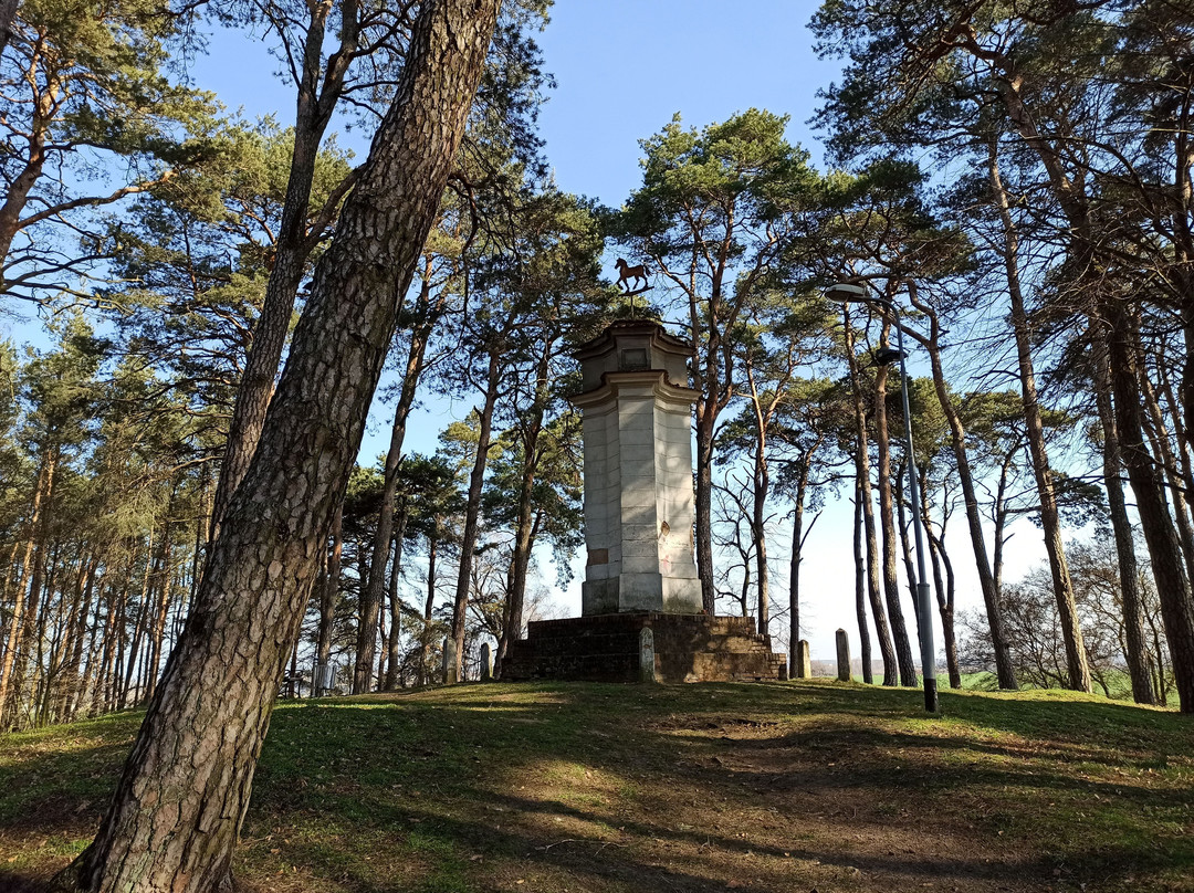 Franciszek Łakiński Grave景点图片