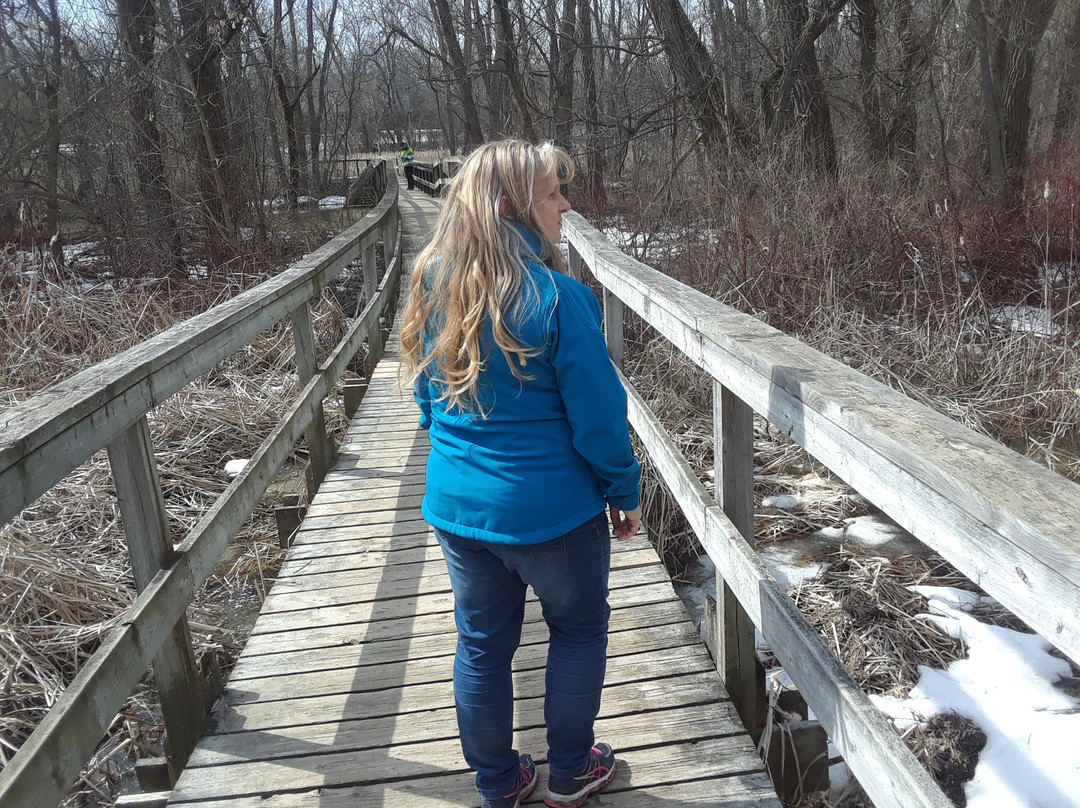 Toogood Pond Park-于人村必去景点