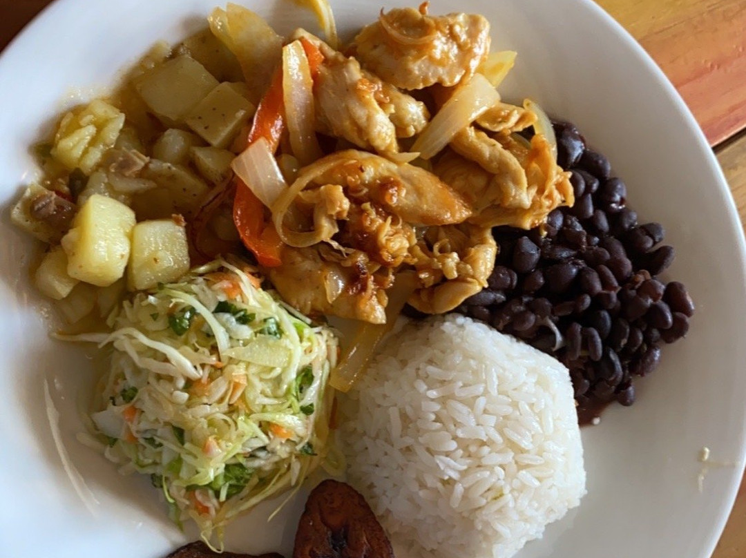 VIP City Bus-圣何塞必去景点