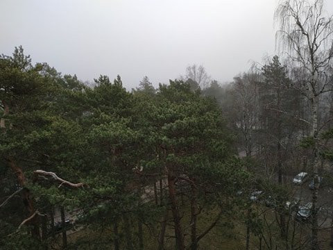 Daina Jurmala Beach Hotel & SPA主图
