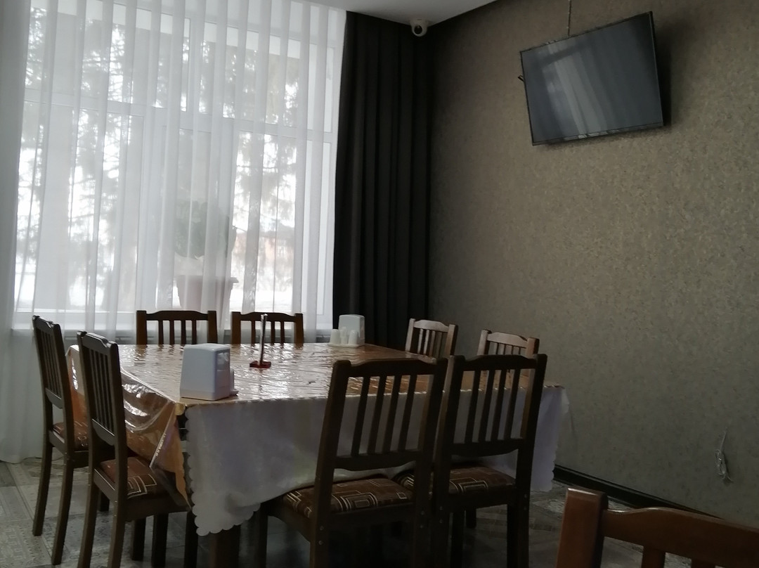 Akmola Province餐馆和美食-Restaurant Insar