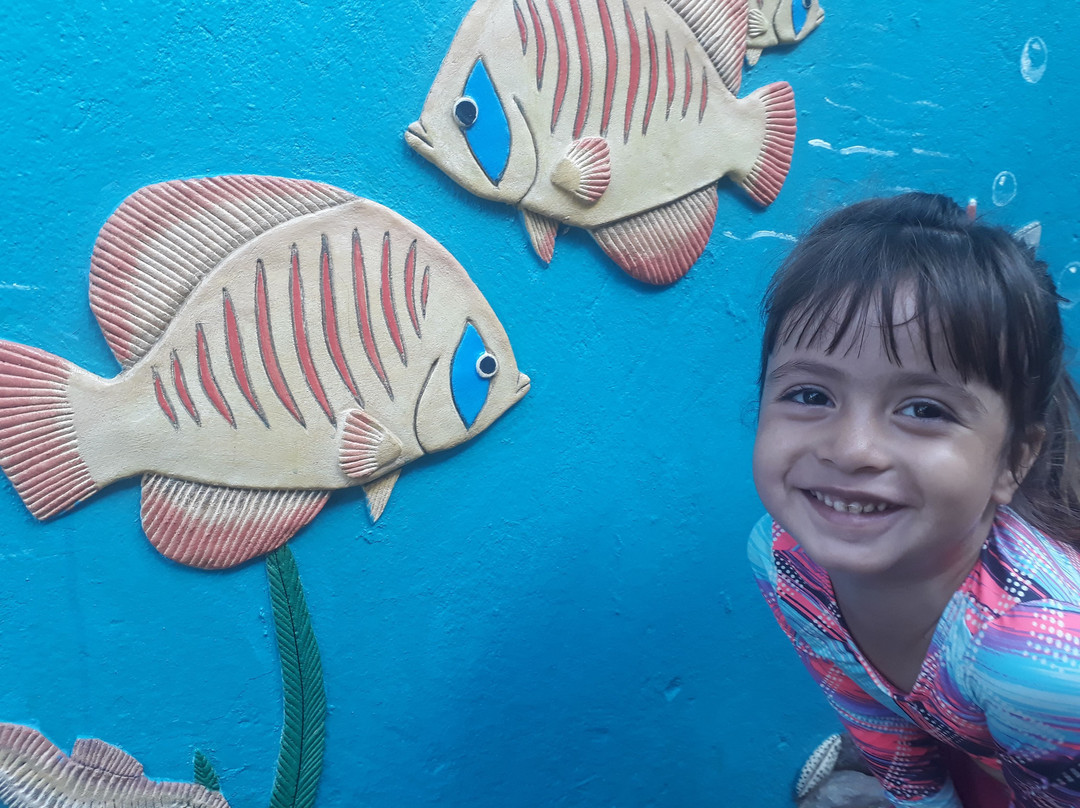 Pousada Barra Velha主图