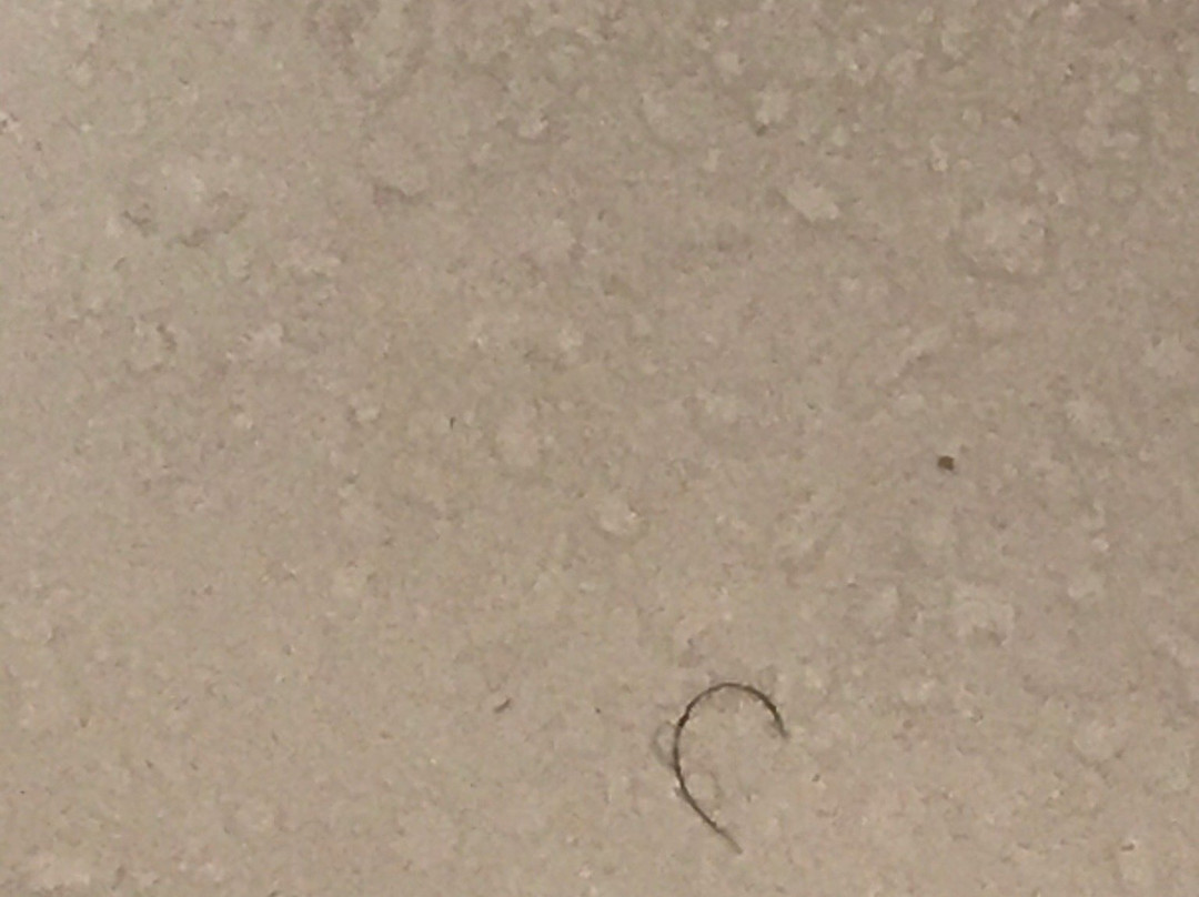 Holiday Inn Express & Suites Carrollton West By IHG主图