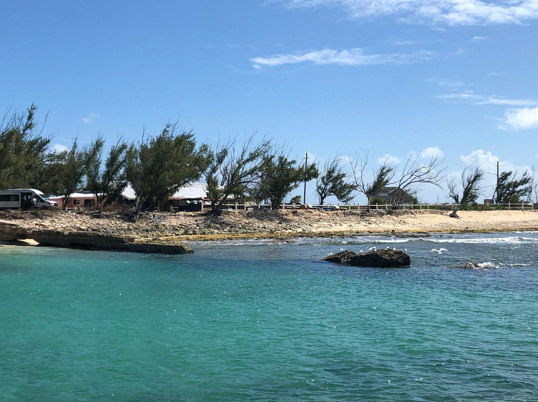 Tradewind Guest Suites on Salt Cay主图