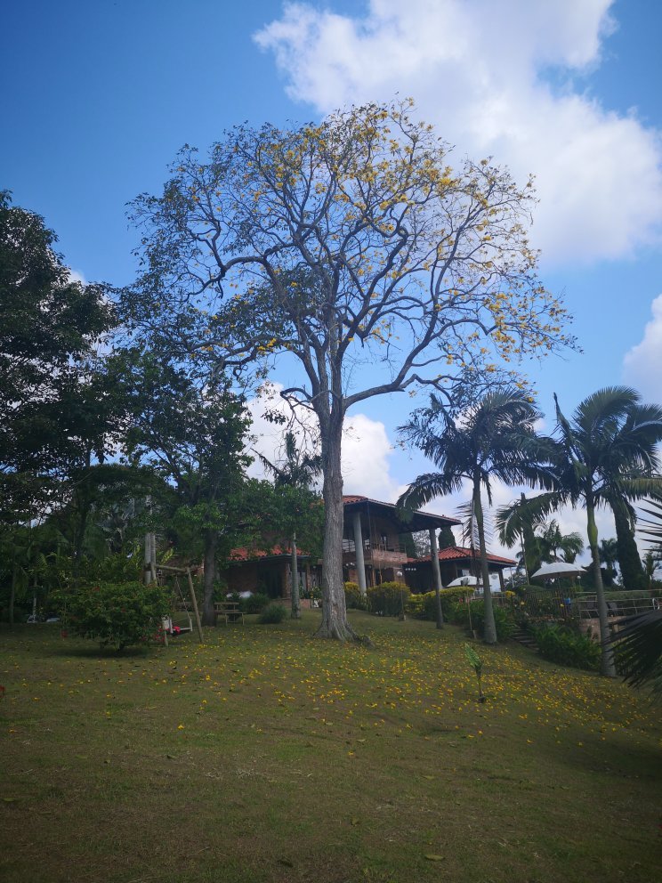 Hotel La Tata Premium-官方