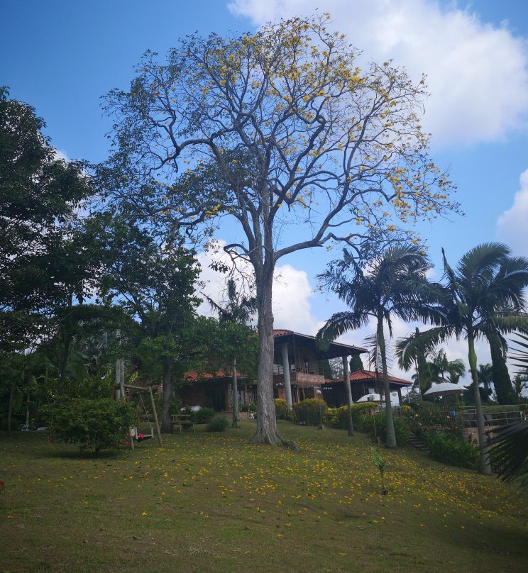 Hotel La Tata Premium主图