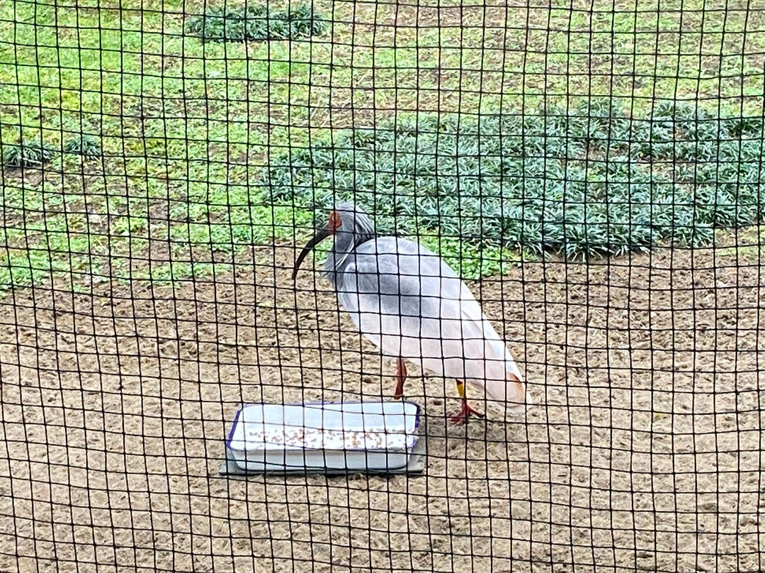 Nagaoka Toki to Shizen no Gakushukan-长冈市必去景点