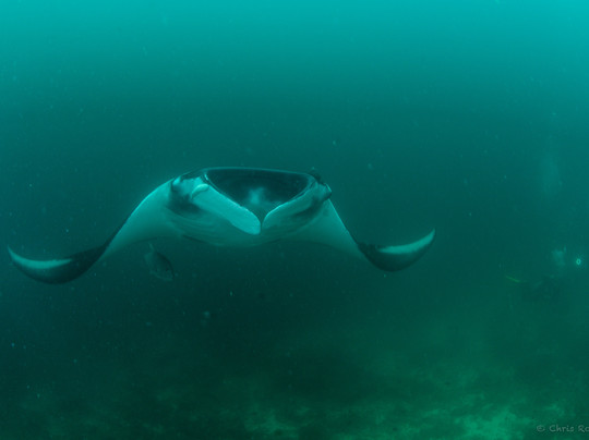 Raya Divers-拉克山必去景点