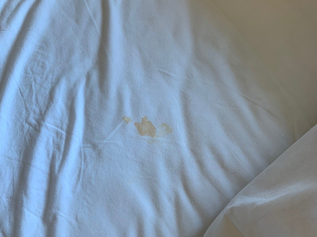 Hotel Naguilan主图