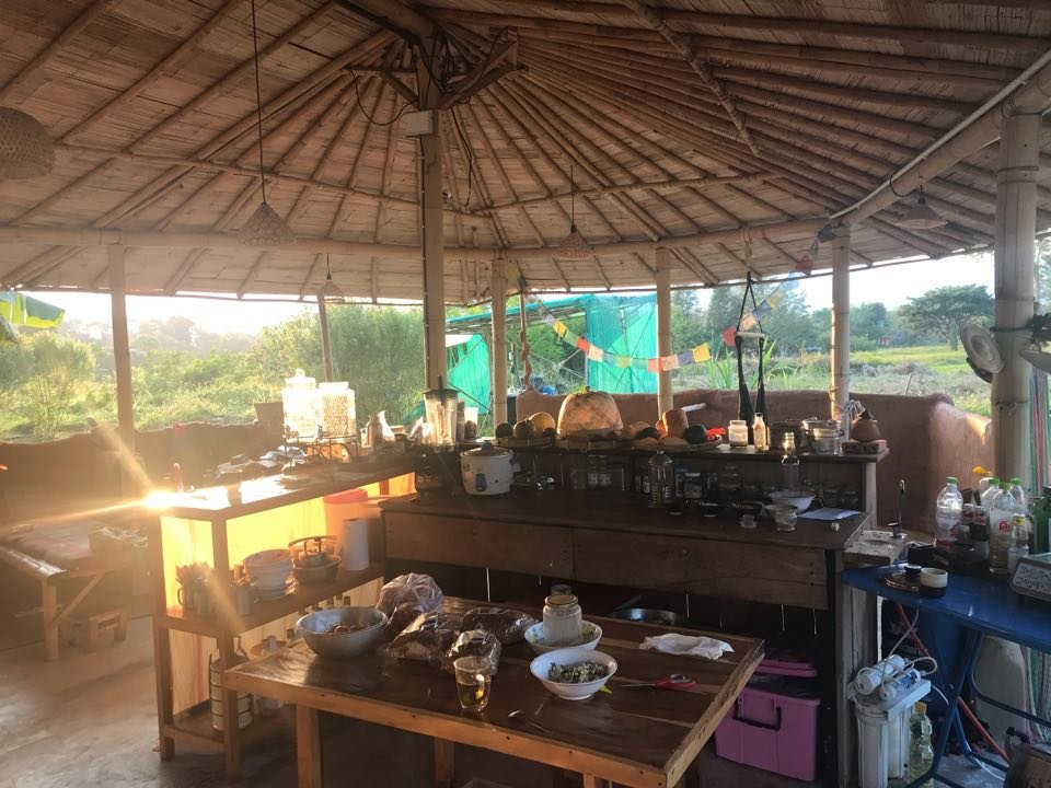 Pai Seedlings Foundation FARM景点图片
