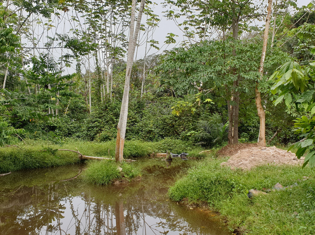 Domaine Bini Voyage-阿比让必去景点