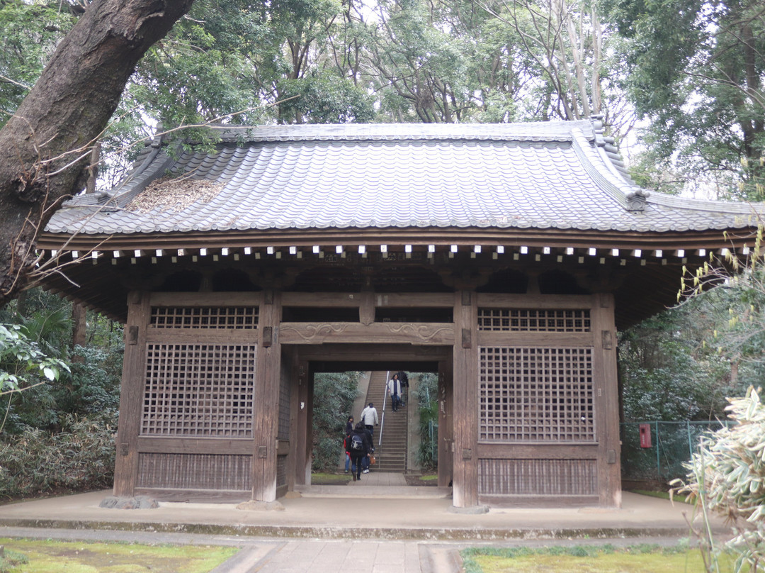 Kokubunji Yakushido-国分寺市必去景点
