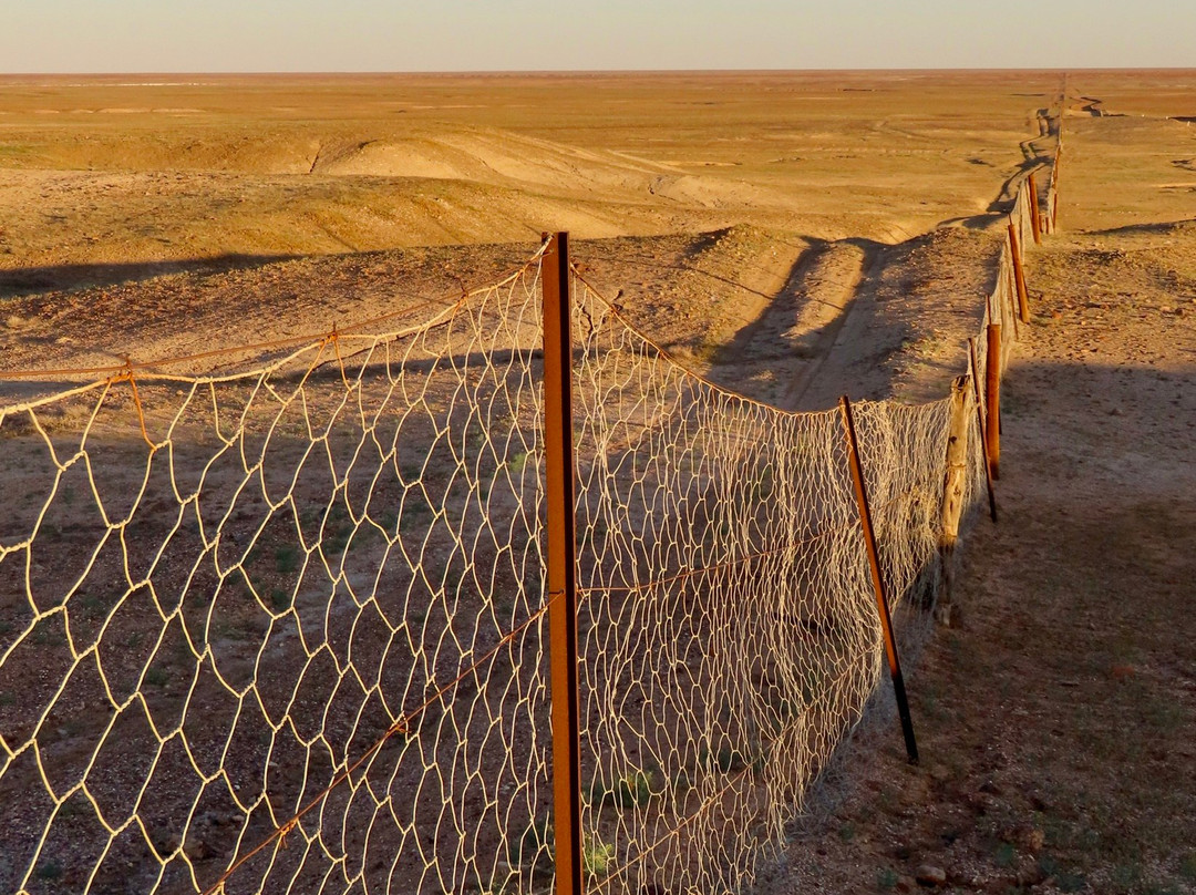 Dog Fence-库伯佩迪必去景点