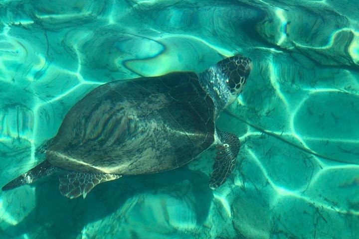 SEAze The Day Cyprus-帕福斯必去景点