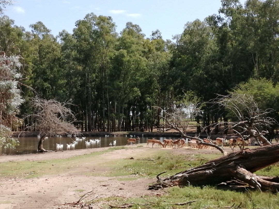 Parque natural de flora y fauna Dr. Talice景点图片