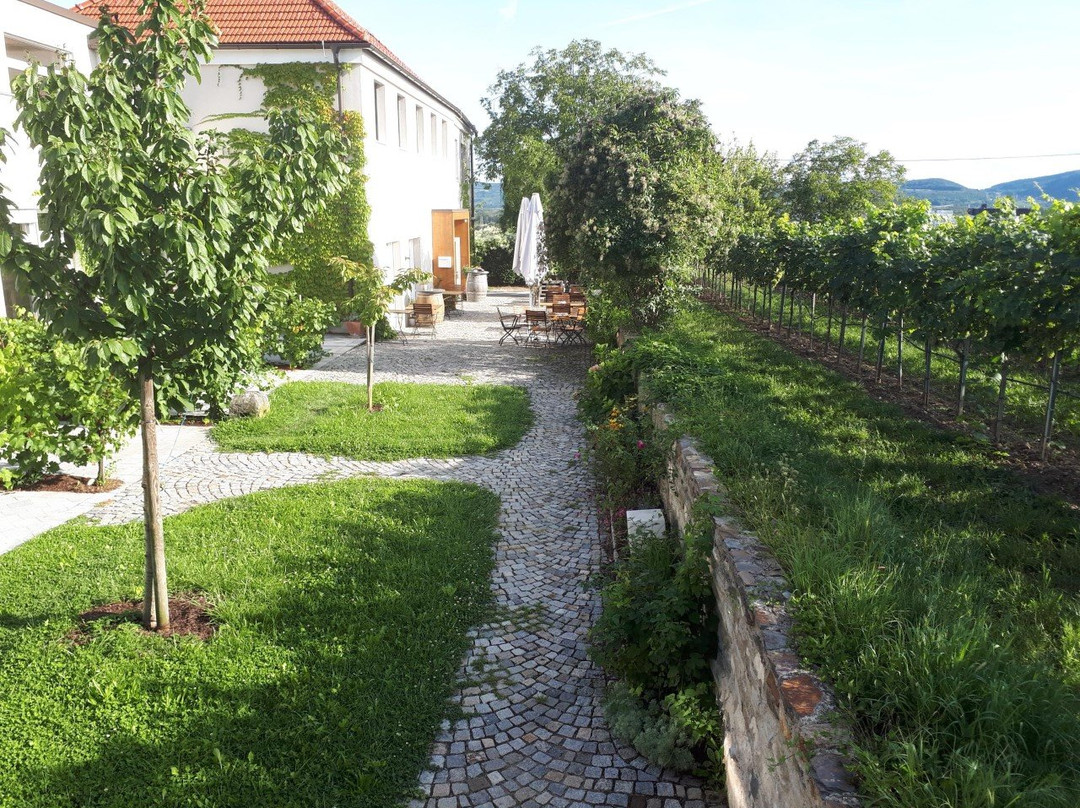 Wein-Gut Hutter主图