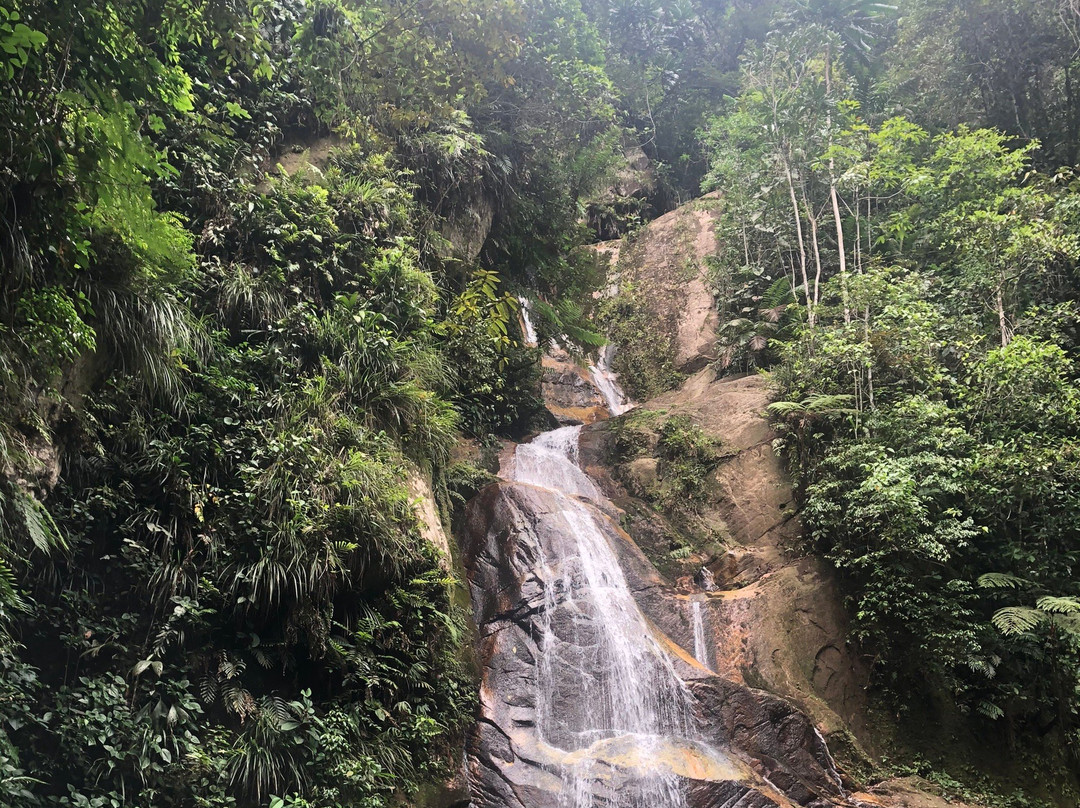 Catarata Pucayaquillo-Tarapoto必去景点