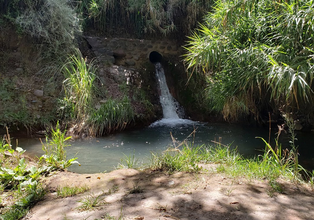 Rio Bike Park-路冉得库约必去景点