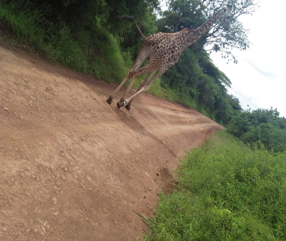 Wasili Kenya Safaris-内罗毕必去景点