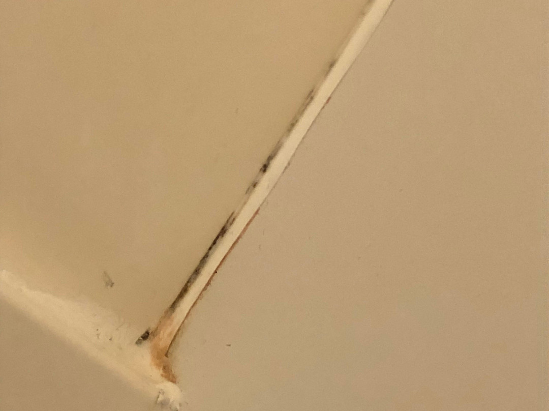 Comfort Inn & Suites主图