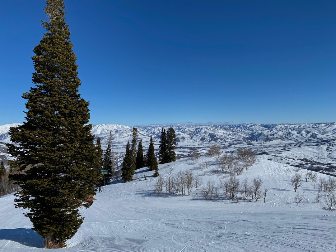 Snowbasin Resort-Huntsville必去景点