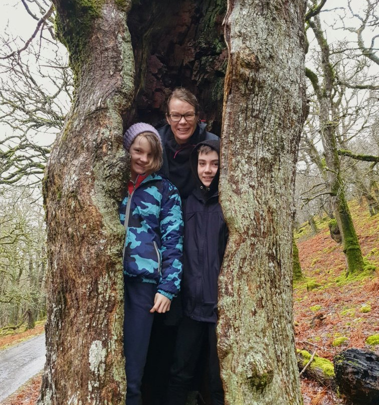 Welsh Overland Safari景点图片
