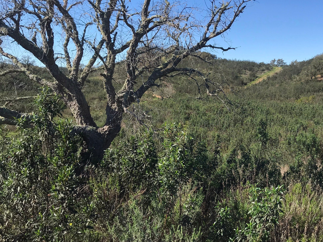 Necrópole da Atalaia-Ourique必去景点