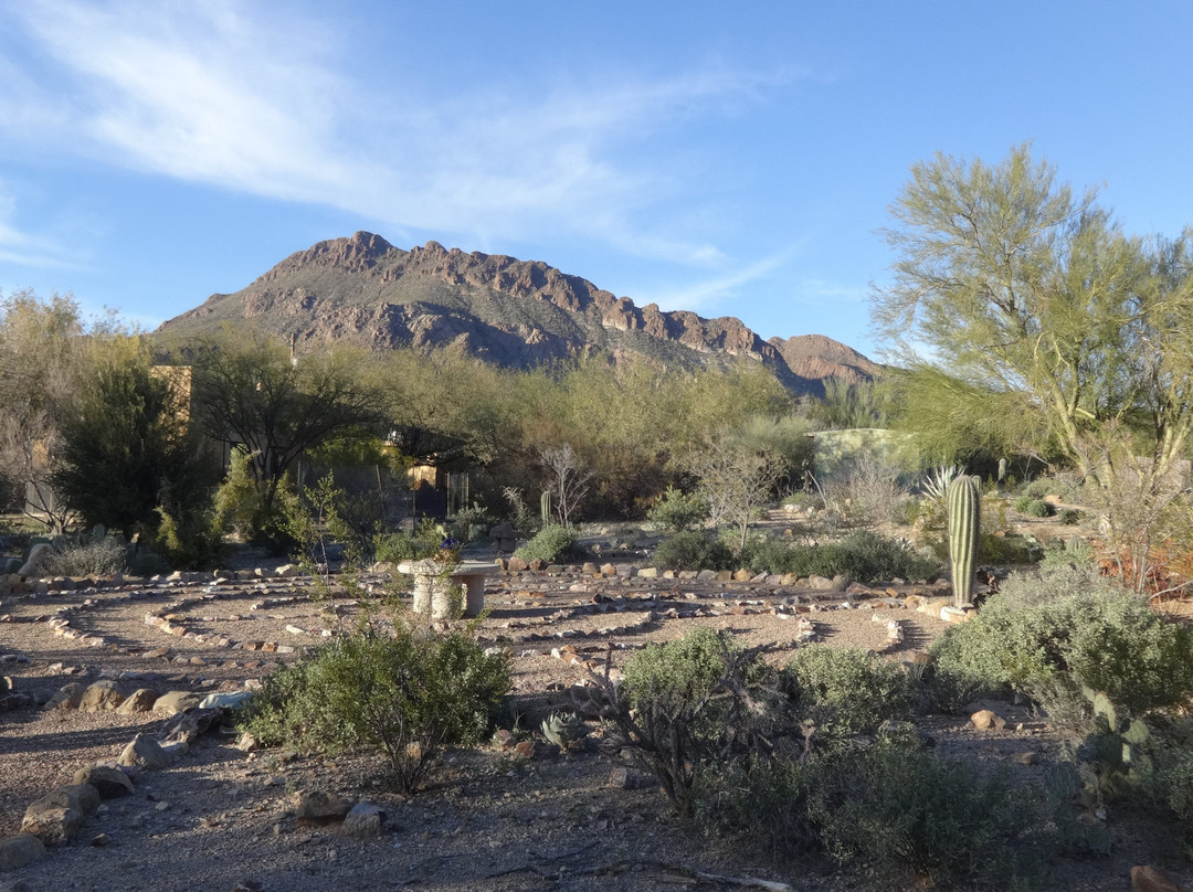 Cat Mountain Lodge & Roadside Inn主图