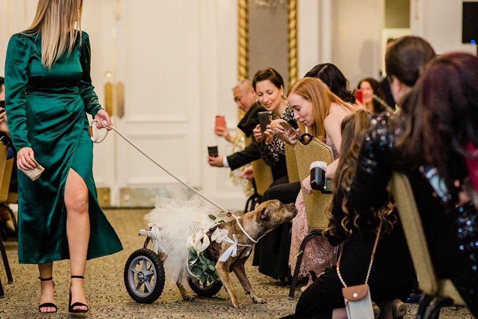 巴尔的摩勋爵酒店主图