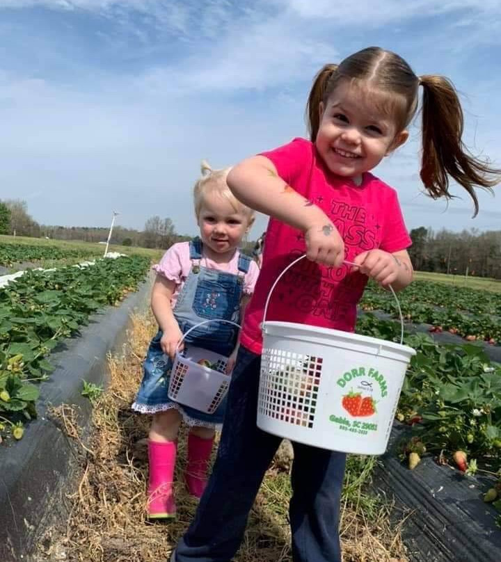 Dorr Farms-Gable必去景点