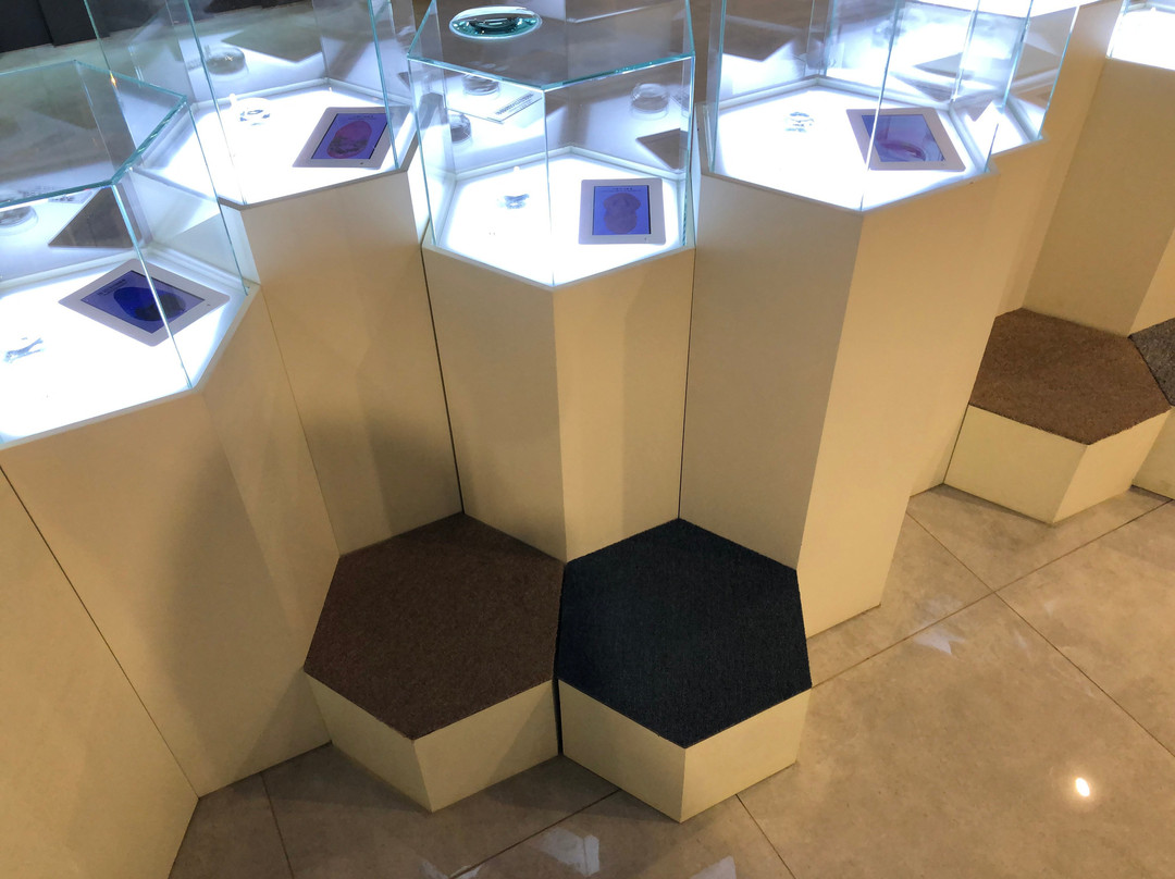 KAHP Parasite Museum-首尔必去景点