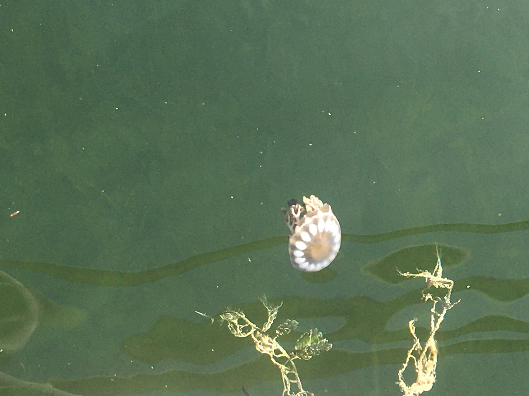 Sugarloaf Lodge主图