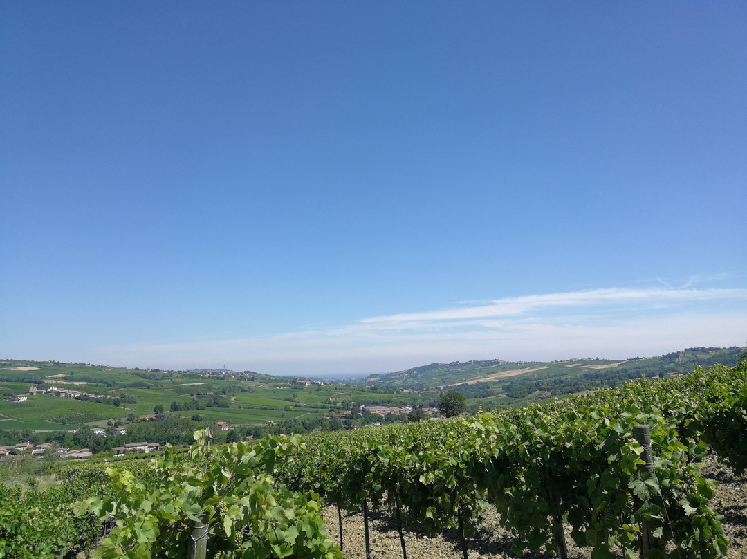 Azienda Agricola Calatroni-Santa Maria della Versa必去景点
