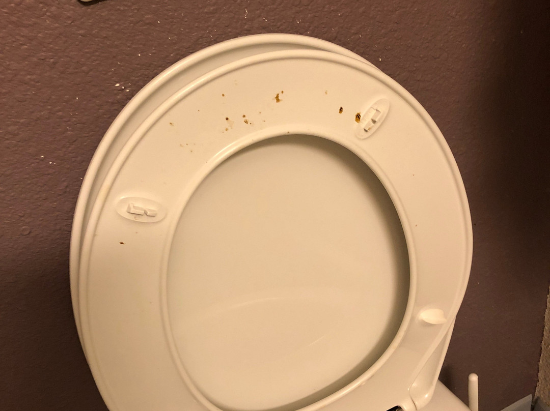 B&B HOTEL Aubenas主图