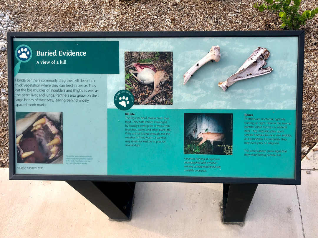 Big Cypress Swamp Welcome Center-奥乔皮必去景点