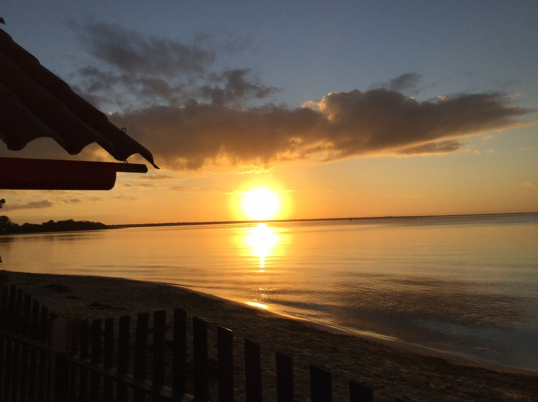 Maria La Gorda主图