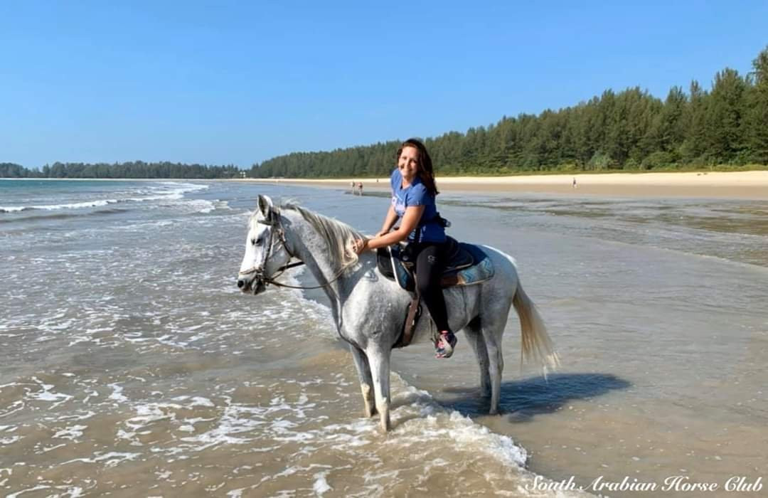 South Arabian Horse Club-拉克山必去景点