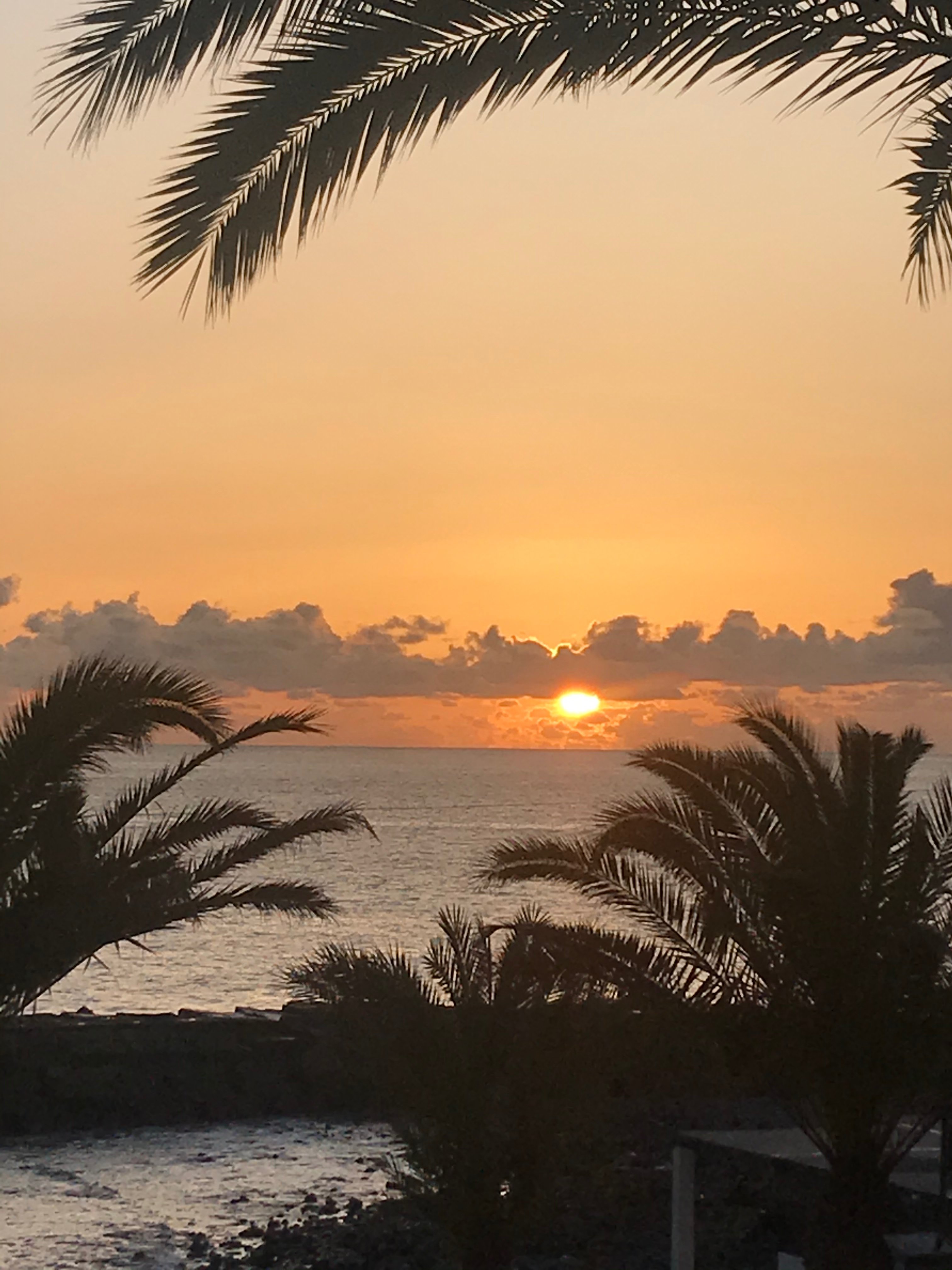 Enotel Sunset Bay-酒店景观