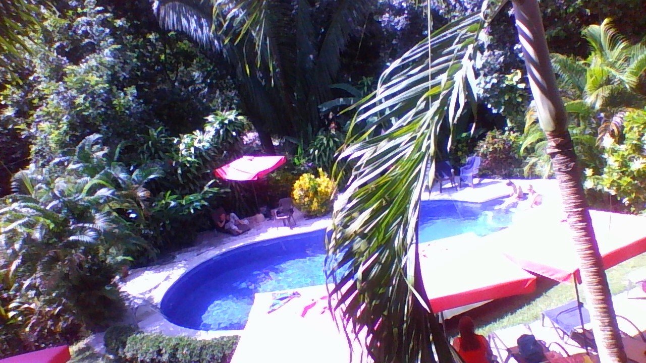 Hotel Belvedere-泳池