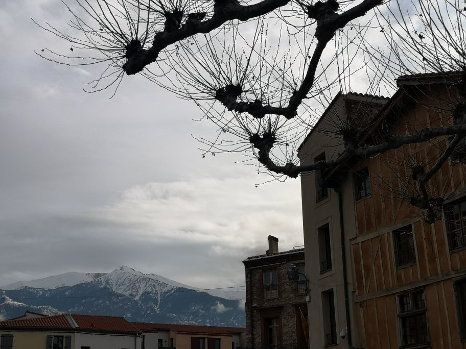 Prades Square景点图片