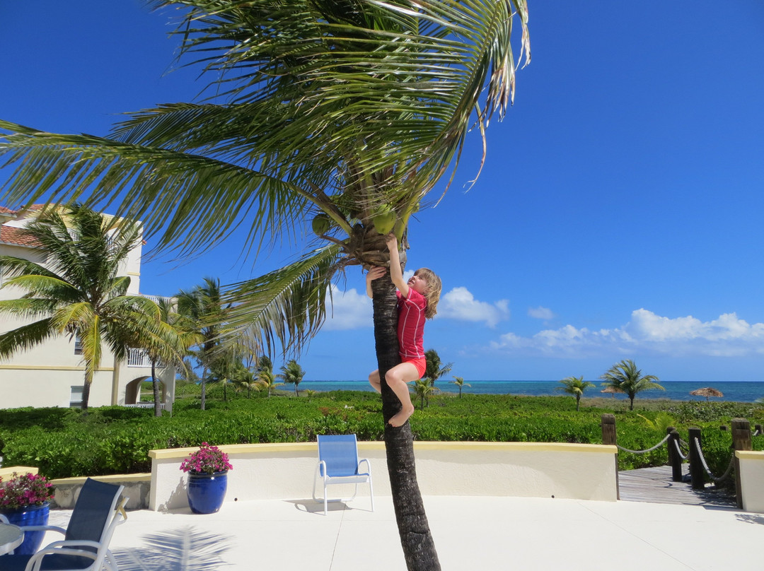 Northwest Point Resort主图