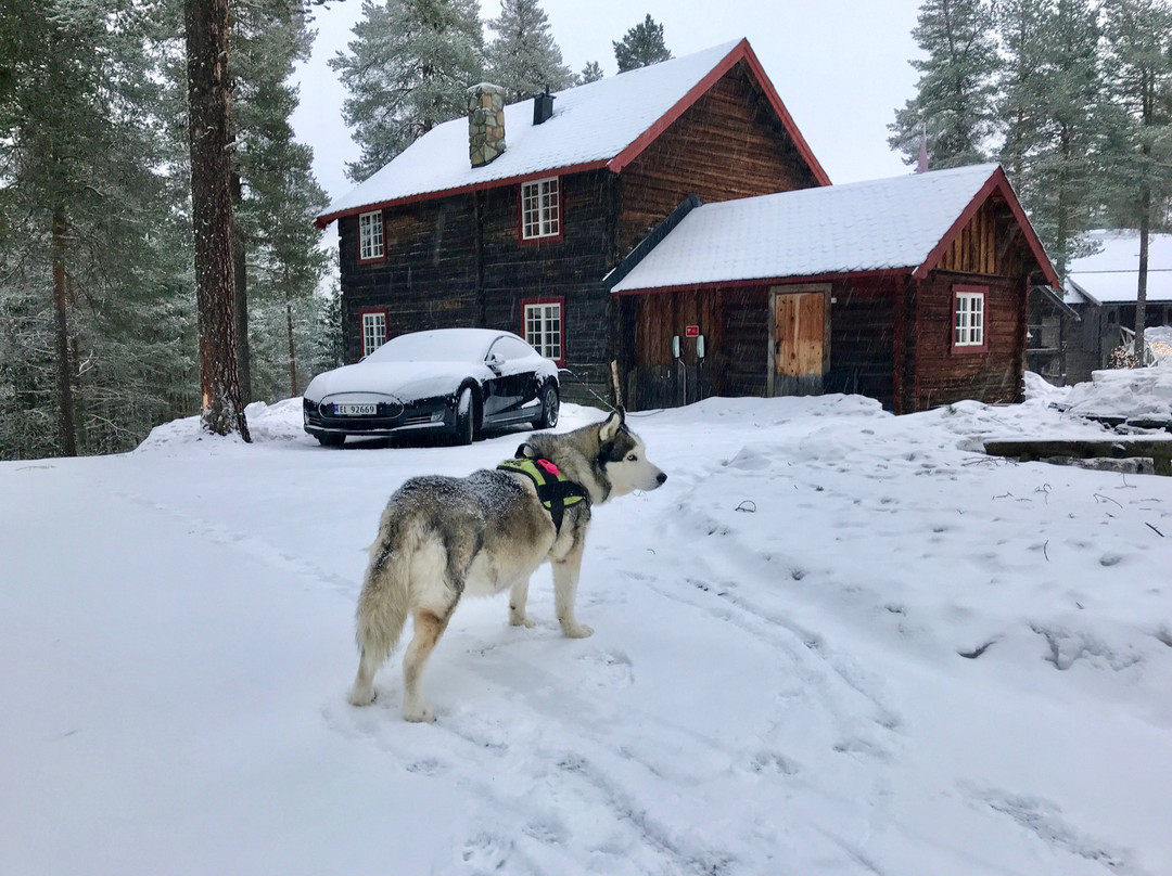 Herangtunet Mountain Lodge Norway主图