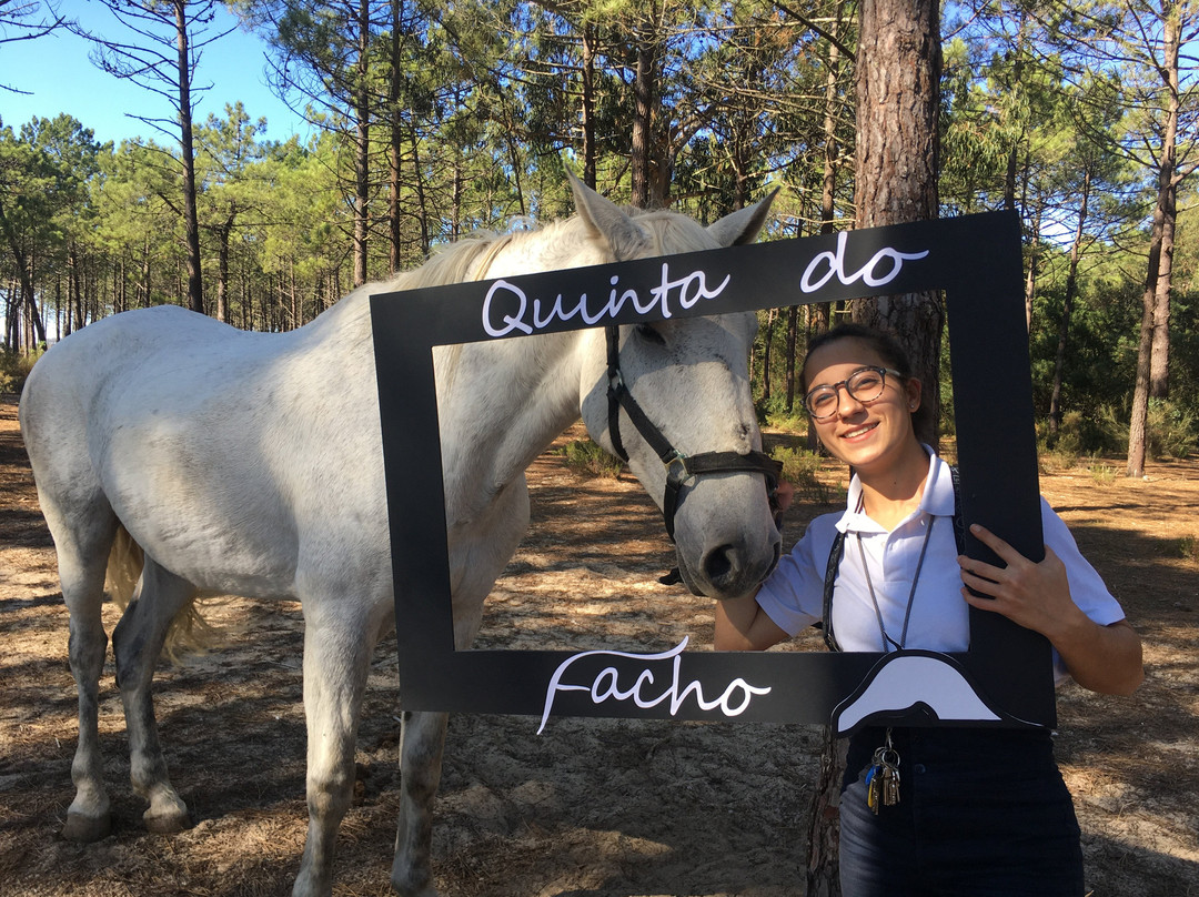 Quinta do Facho景点图片